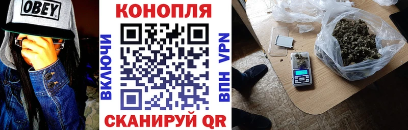 Купить закладку Кокаин  СОЛЬ  ГАШ  Псилоцибиновые грибы  Меф мяу мяу  Реж