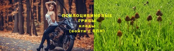 бутират Богородицк
