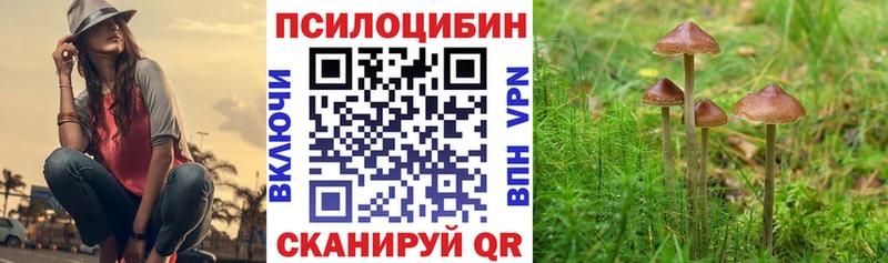 Псилоцибиновые грибы Psilocybine cubensis  Купить закладки  Реж 