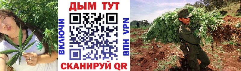 Марихуана Bruce Banner  Купить закладки  Реж 